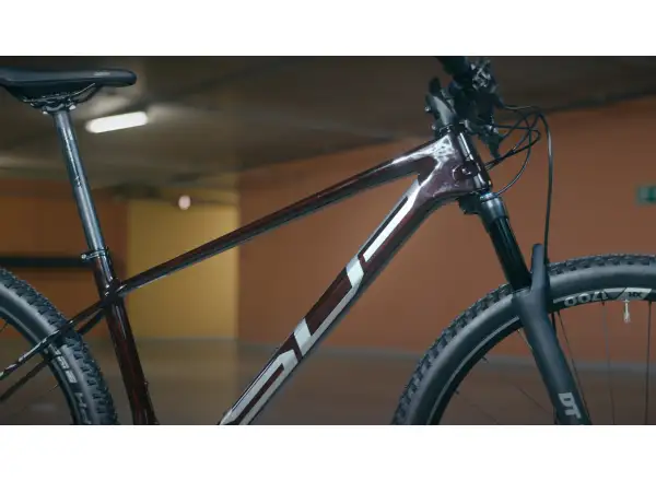 Superior Team 29 Elite Gloss Red Carbon/Chrome mountain bike