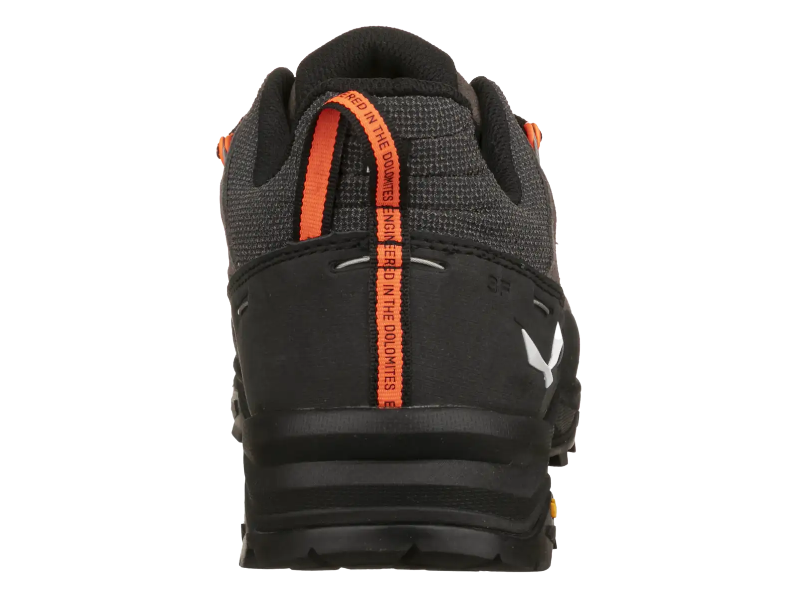 Salewa Alp Trainer 2 men's shoes Bungee Cord / Black
