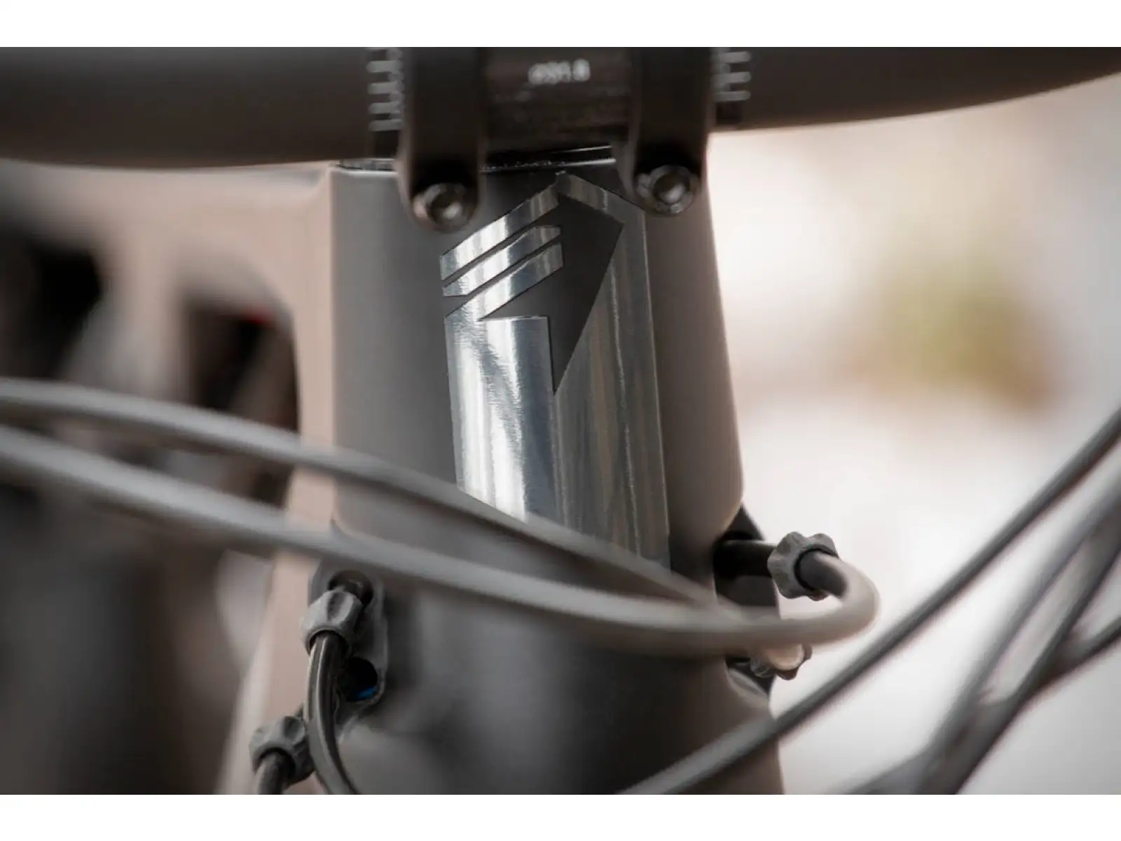 Superior Team XF 29 Issue mountain bike Gloss Carbon/Chrome