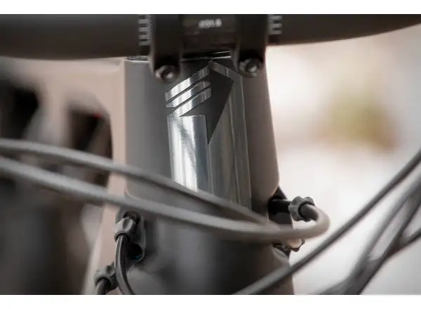 Superior Team XF 29 Issue mountain bike Gloss Carbon/Chrome