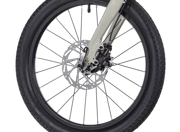 Rock Machine RIFF Tr 20 kids bike Gloss Limerock Grey
