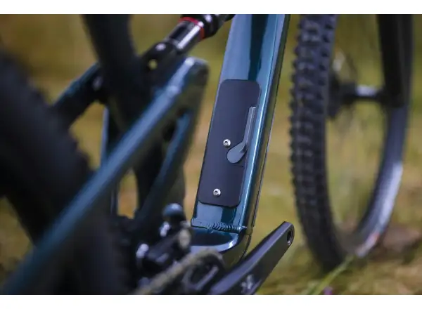 Ibis Ripley AF V2 Eagle 90 mountain bike Blue