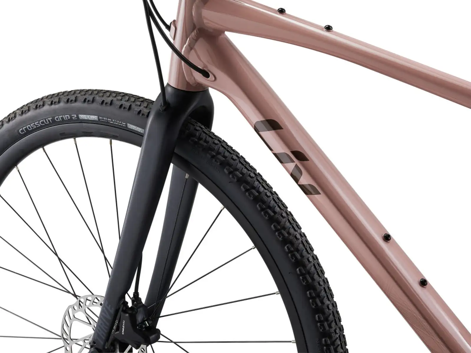 Liv Thrive GX fitness bike petra clay