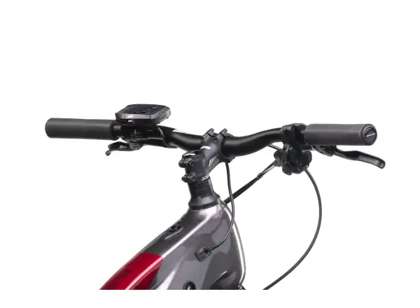 Crussis e-Cross low 9.10-M (720 Wh) cross e-bike