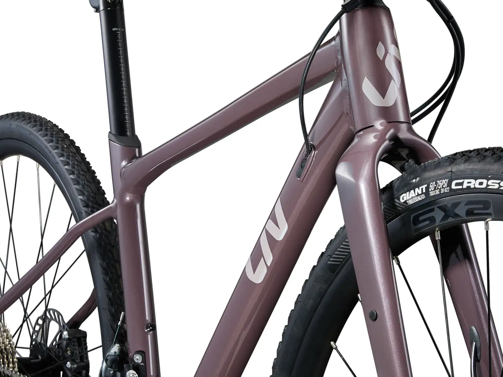 Liv Devote 1 women's gravel bike Charcoal Plum