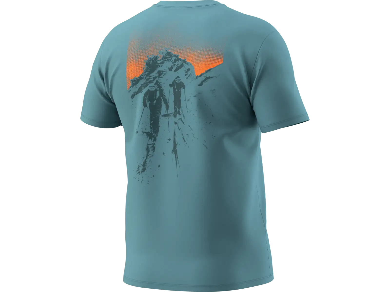 Dynafit Back Graphic Cotton men's T-shirt short sleeve Overcast/Summit