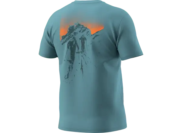 Dynafit Back Graphic Cotton men's T-shirt short sleeve Overcast/Summit