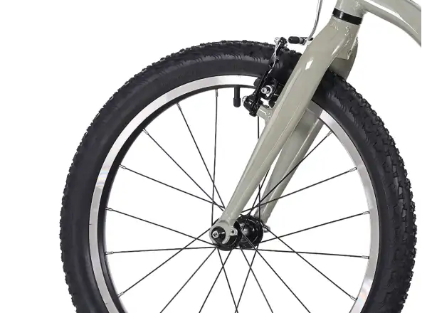 Rock Machine RIFF Jr 20 kids bike Gloss Limerock Grey