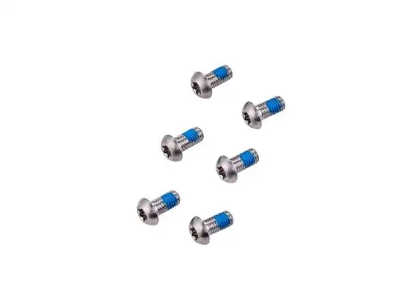 Sram Rotor Bolt Kit for Disc Brakes Titanium