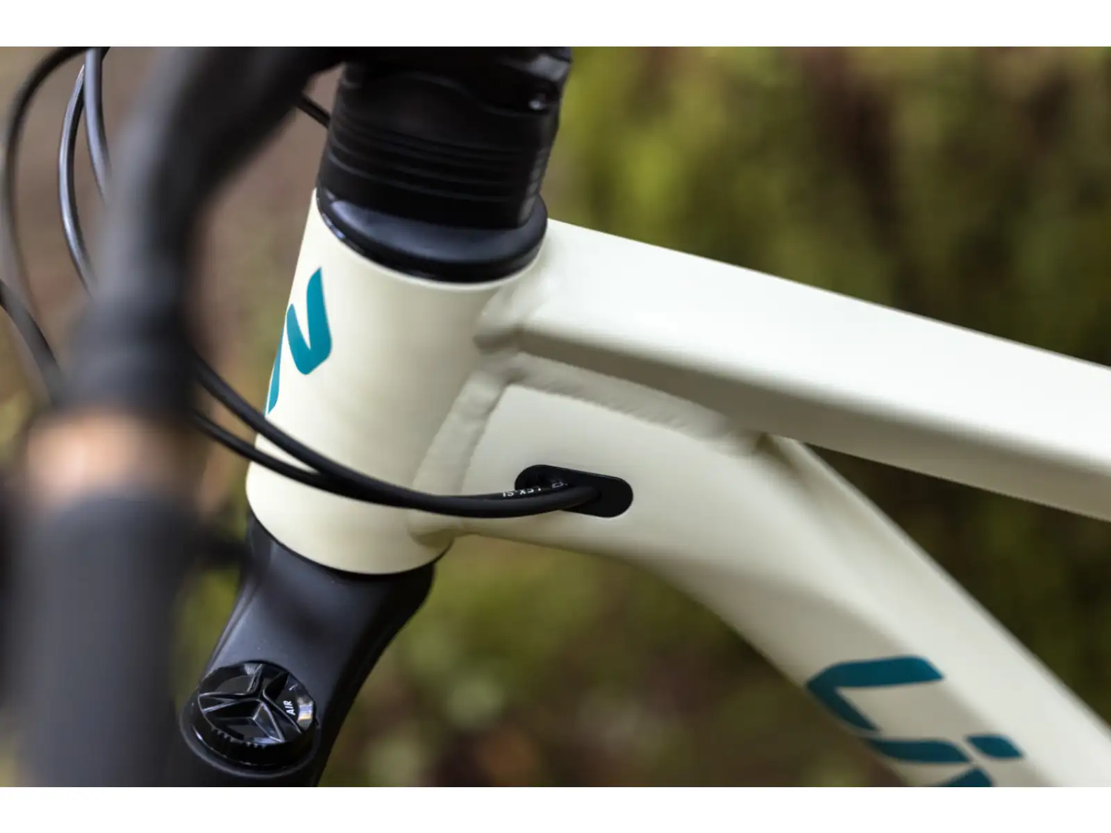 Liv Embolden 2026 mountain bike Pale Moss