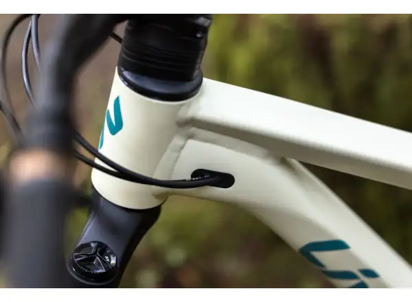 Liv Embolden 2026 mountain bike Pale Moss