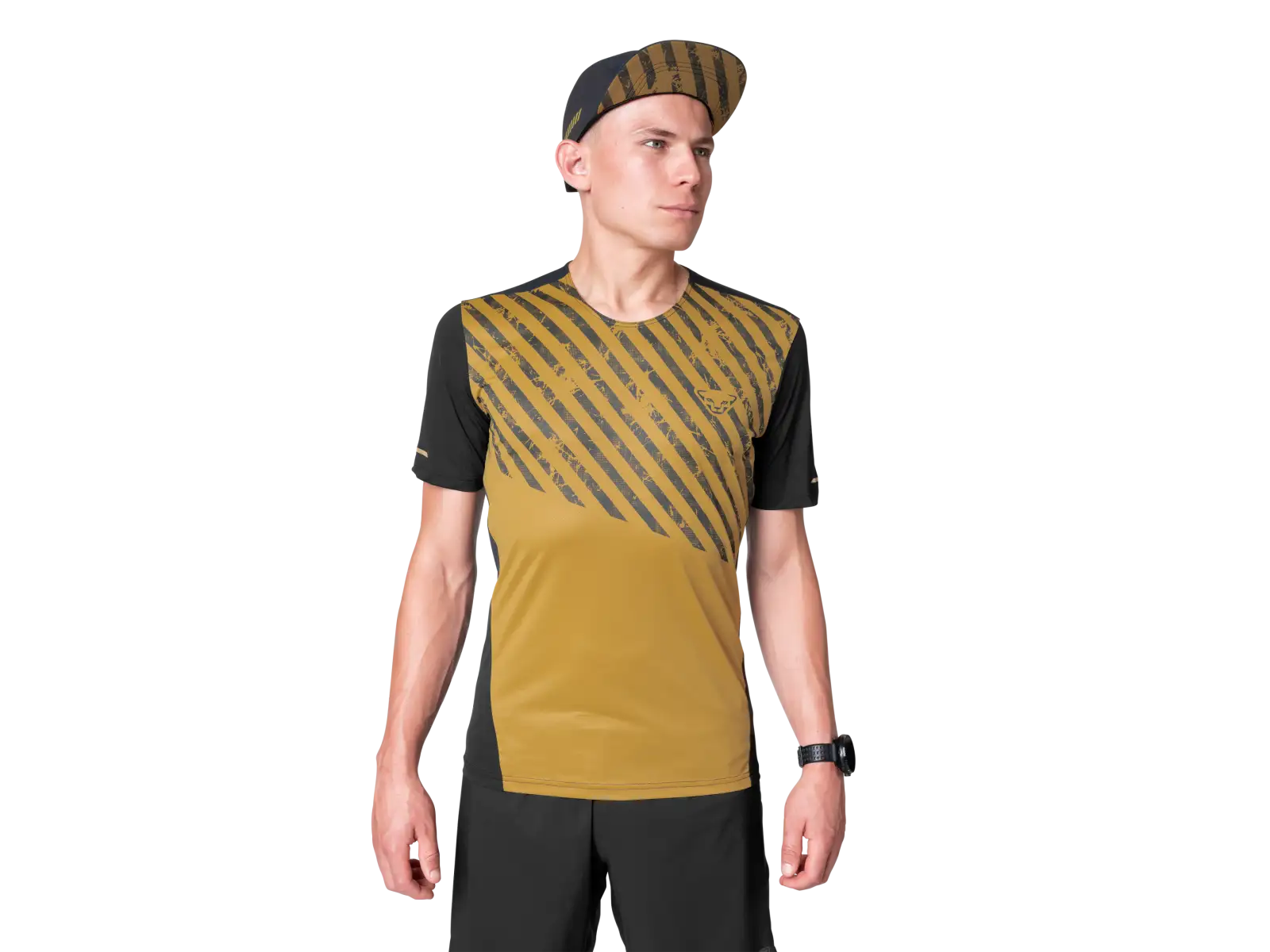 Dynafit Alpine 2 men's T-shirt short sleeve Tobacco