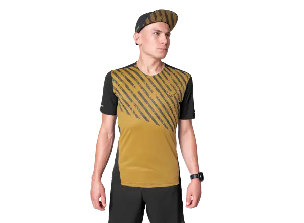 Dynafit Alpine 2 men's T-shirt short sleeve Tobacco