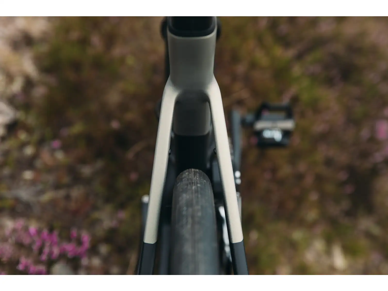 Liv Avail Advanced Pro 1 road bike Golden Haze