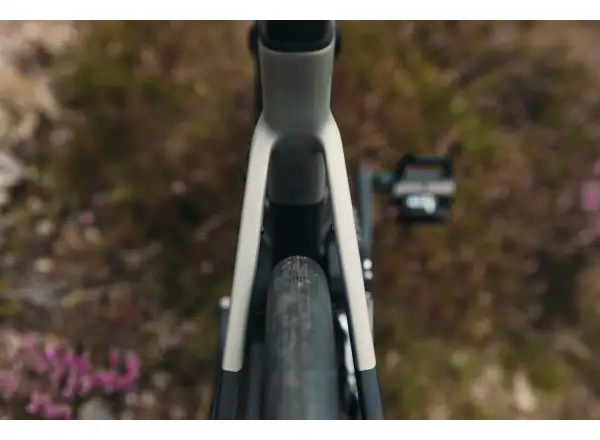 Liv Avail Advanced Pro 1 road bike Golden Haze