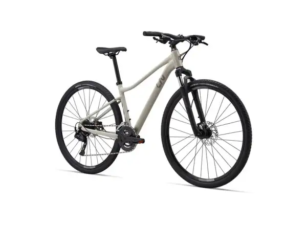 Giant Rove 3 trekking bike Pulp Gray