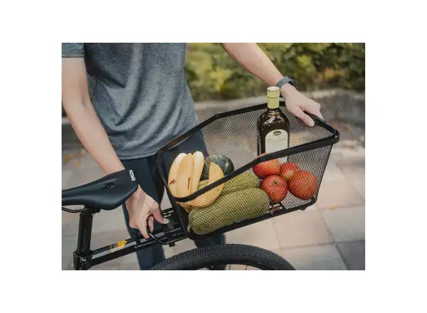 Topeak rack MTX BEAMRACK II E type