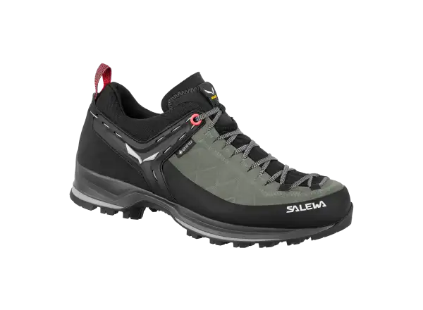 Salewa Mountain Trainer 2 GTX women's hiking shoes Shadow/Black