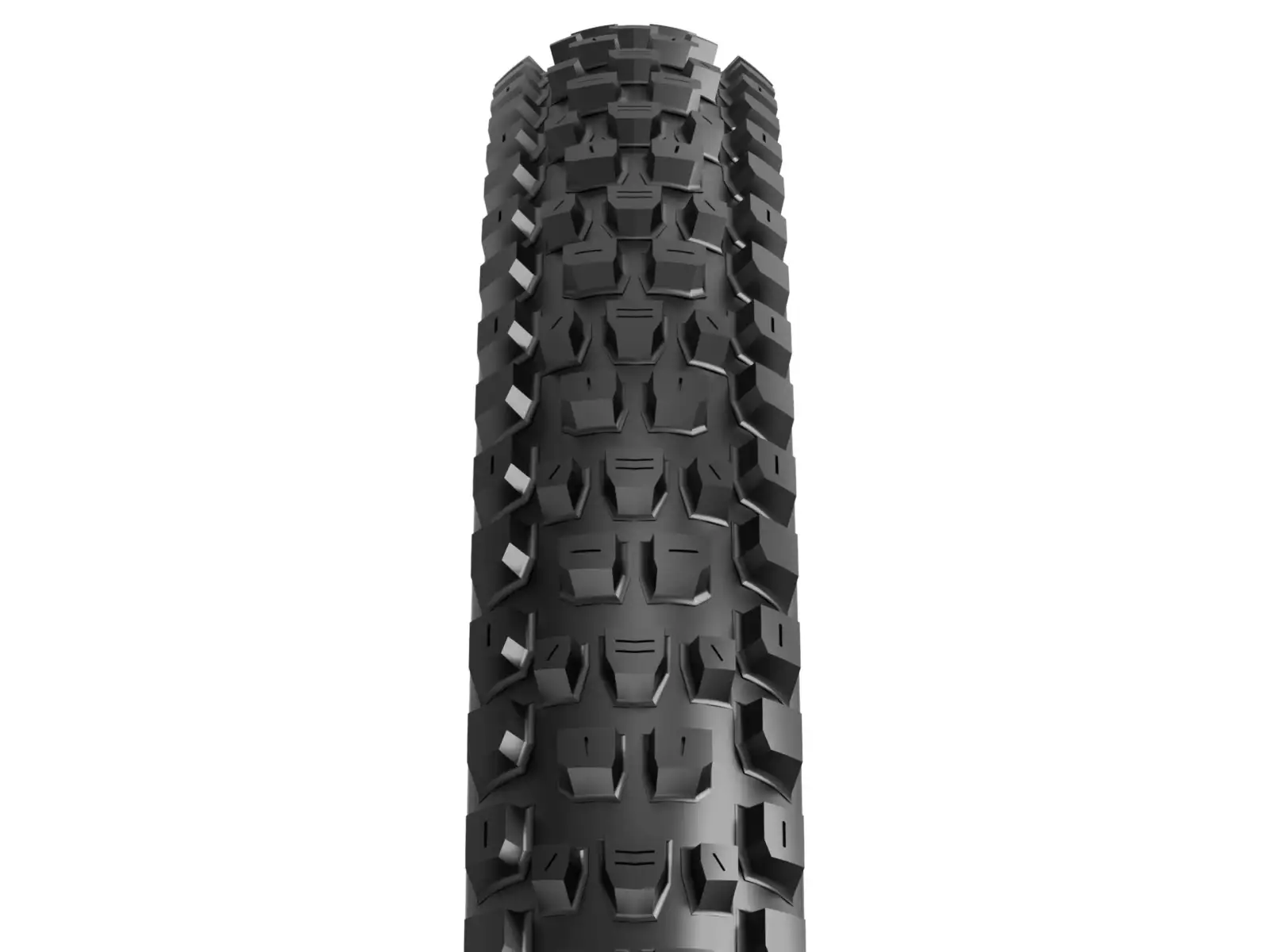 Maxxis Dissector II 3C Maxx Terra EXO 29x2.4" tire kevlar