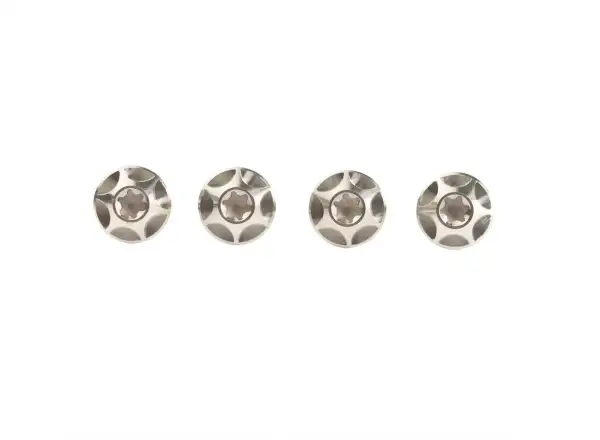 Silca Ti bottle cage bolt set Clear