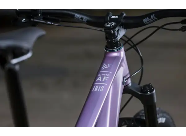 Ibis Ripmo AF Eagle 90 mountain bike Rose