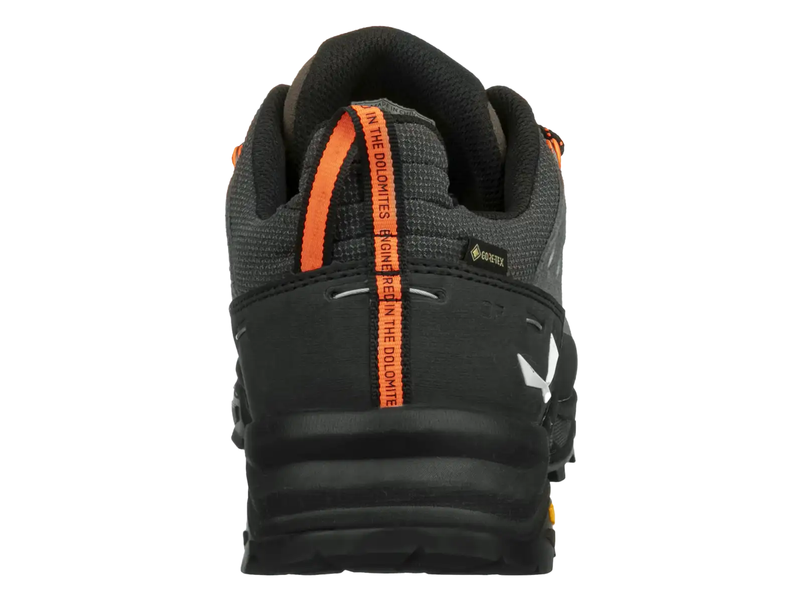 Salewa Alp Trainer 2 GTX men's shoes Bungee Cord/Black