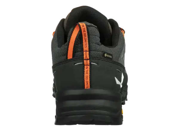 Salewa Alp Trainer 2 GTX men's shoes Bungee Cord/Black