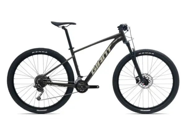 Giant Talon 29 2 Phantom green mountain bike