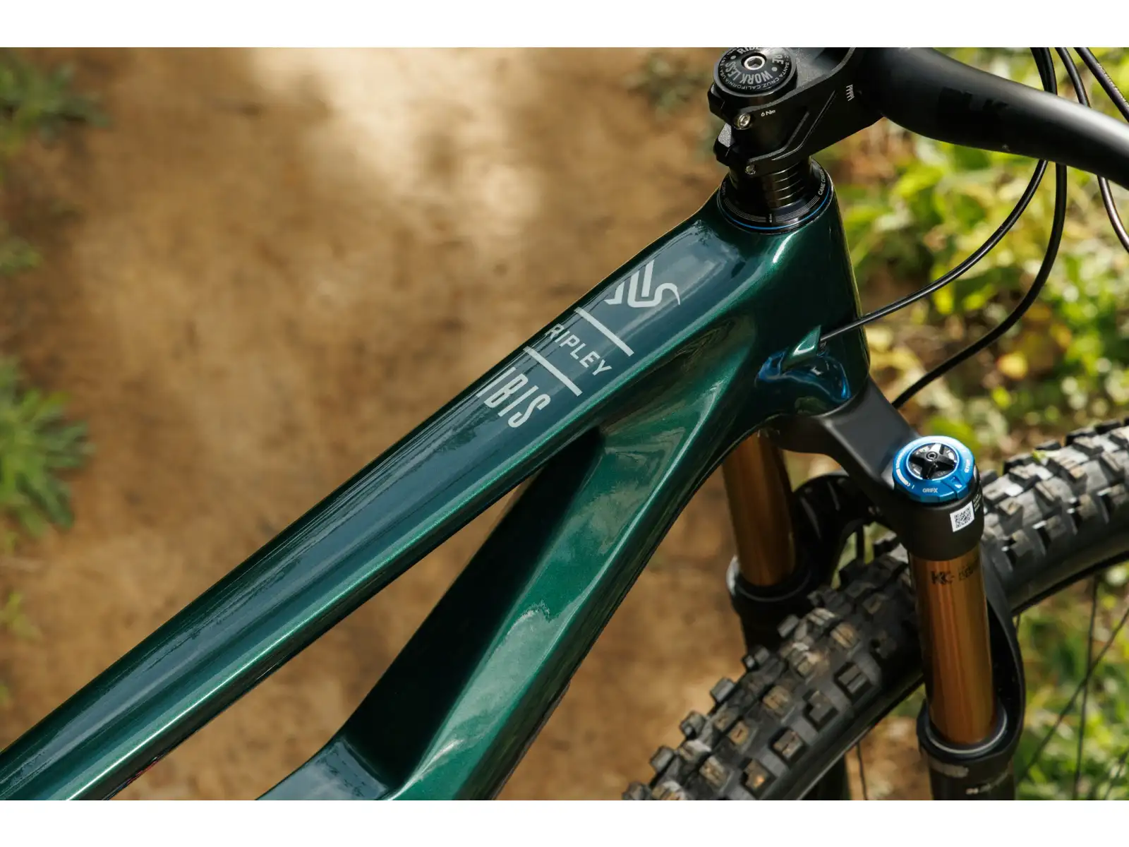 Ibis Ripley V5 XTR Di2 mountain bike Green Flash