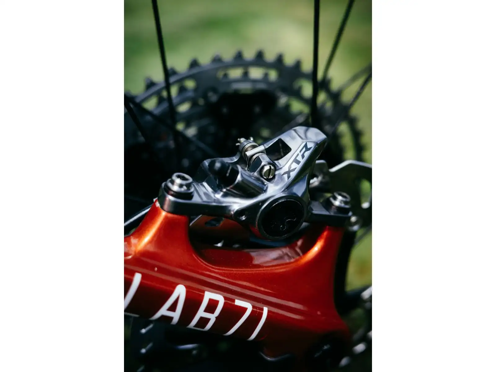 Cannondale Scalpel 29" LAB71 full-suspension bike Team Replica
