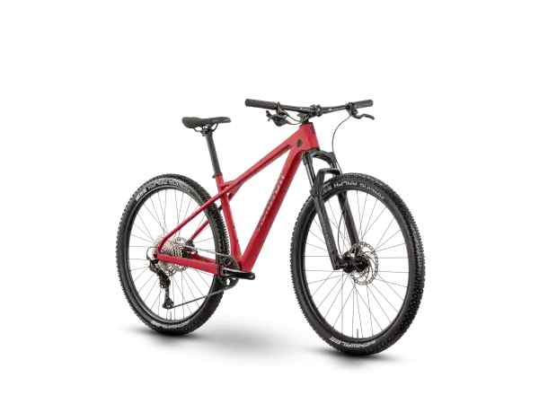Raymon Arid Pro 29" mountain bike Carmine Red Matt
