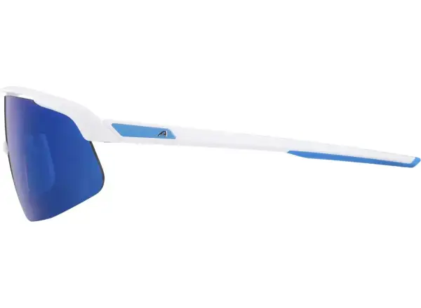 Alpina Turbo Pro Youth children's goggles White Matt