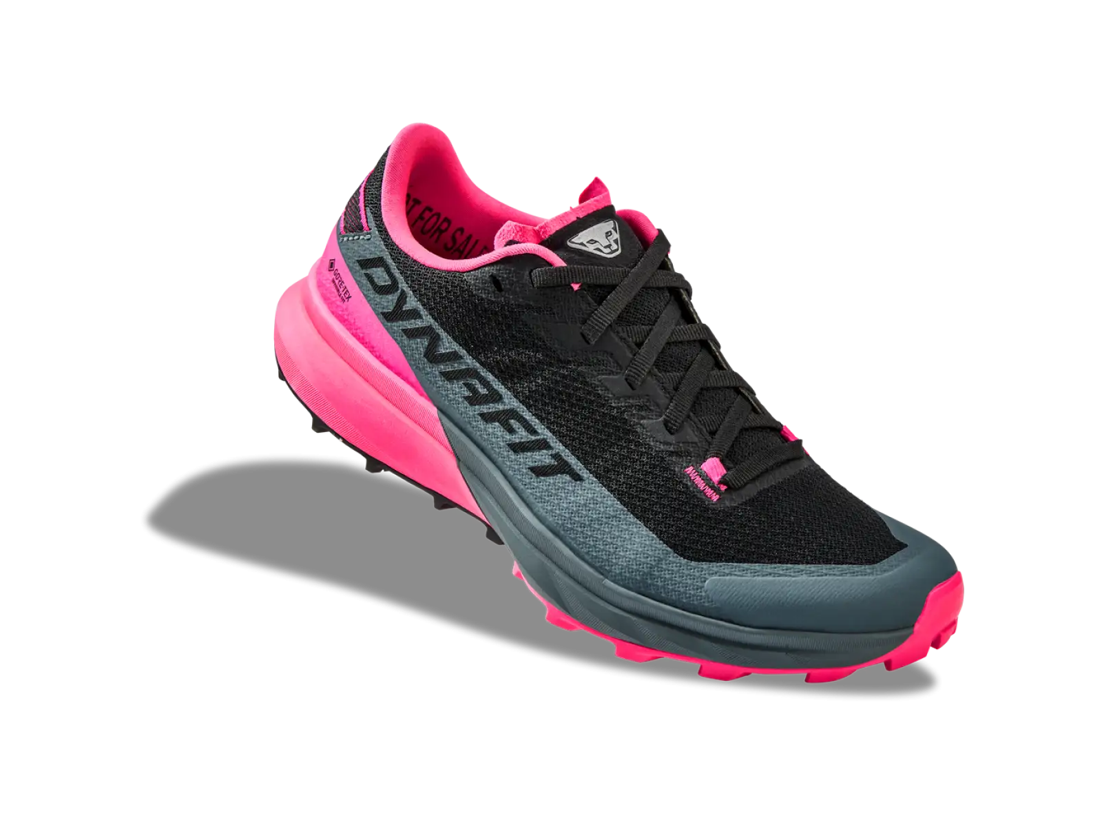 Dynafit Ultra GTX women's running shoes Hurricane/Black Out