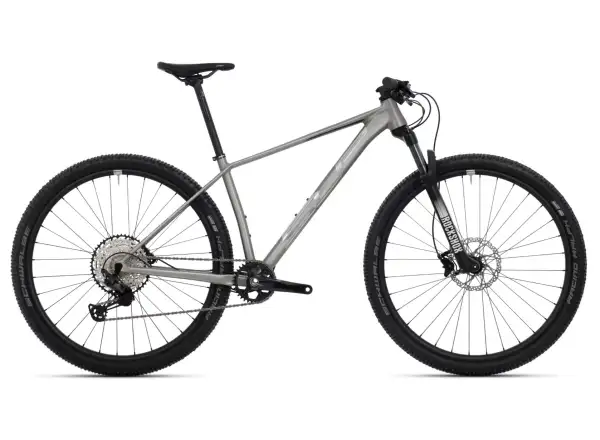 Superior XP 939 mountain bike Brushed Alu/Hologram Chrome