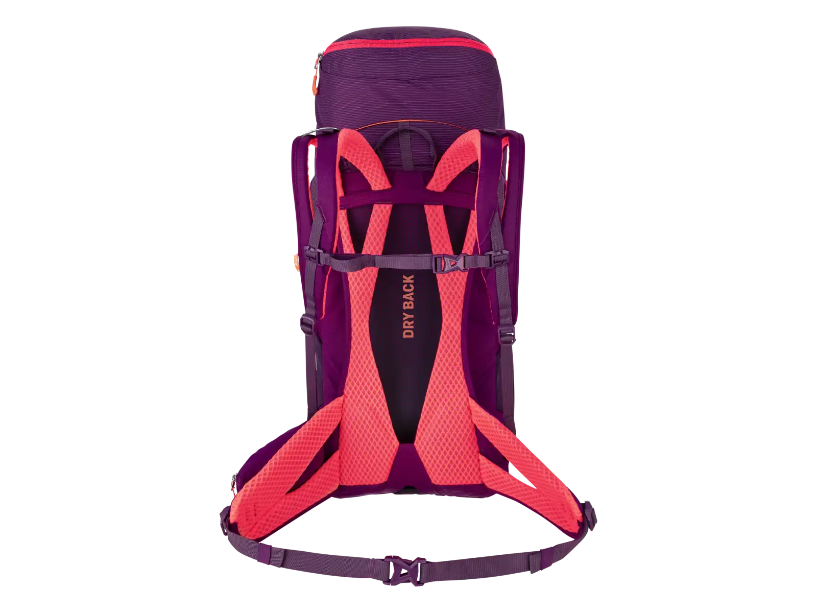 Salewa Alp Trainer 30+3 l women's backpack Black Out