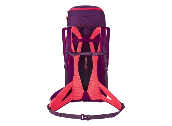 Salewa Alp Trainer 30+3 l women's backpack Black Out