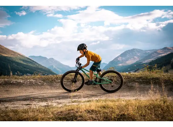 Rascal Wild 24 children's bike Emerald