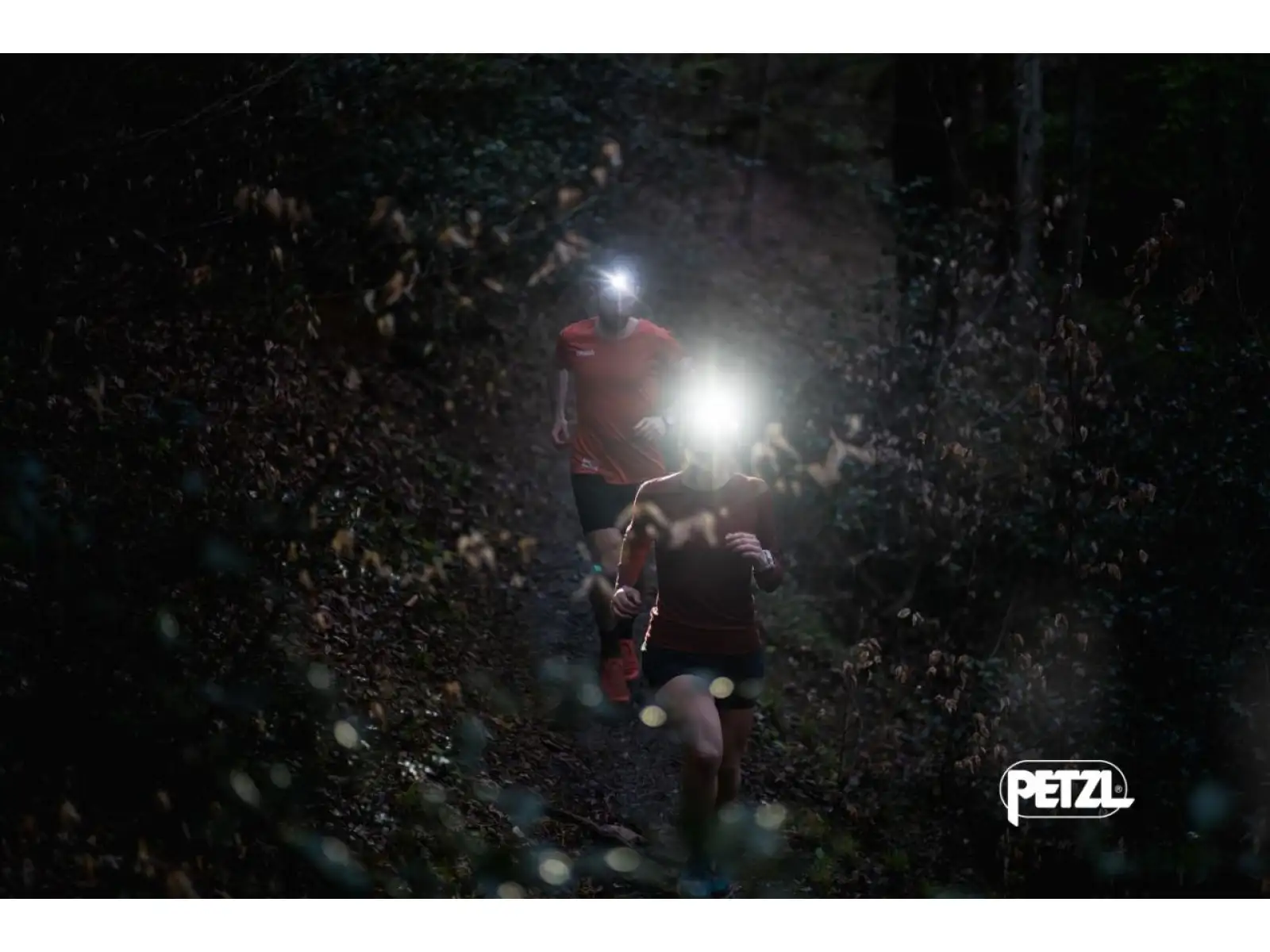Petzl Swift RL 2023 rechargeable headlamp Black