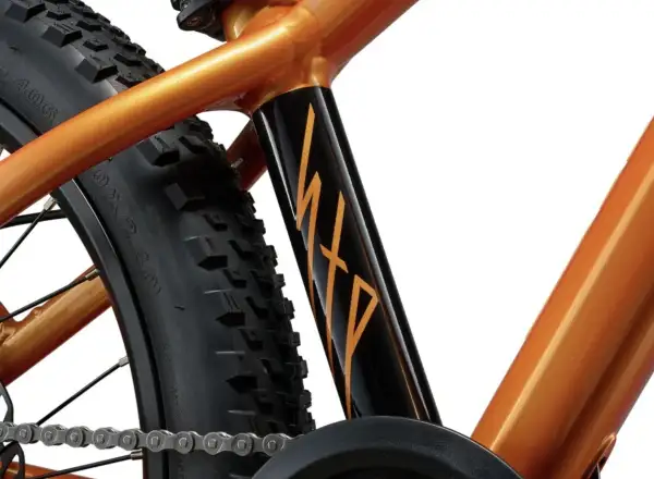 Giant STP 20 kids mountain bike Metallic Orange
