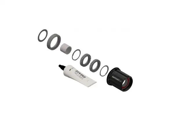 DT SWISS KIT Shimano HG steel - conversion kit hubs 3pawls to Ratchet LN