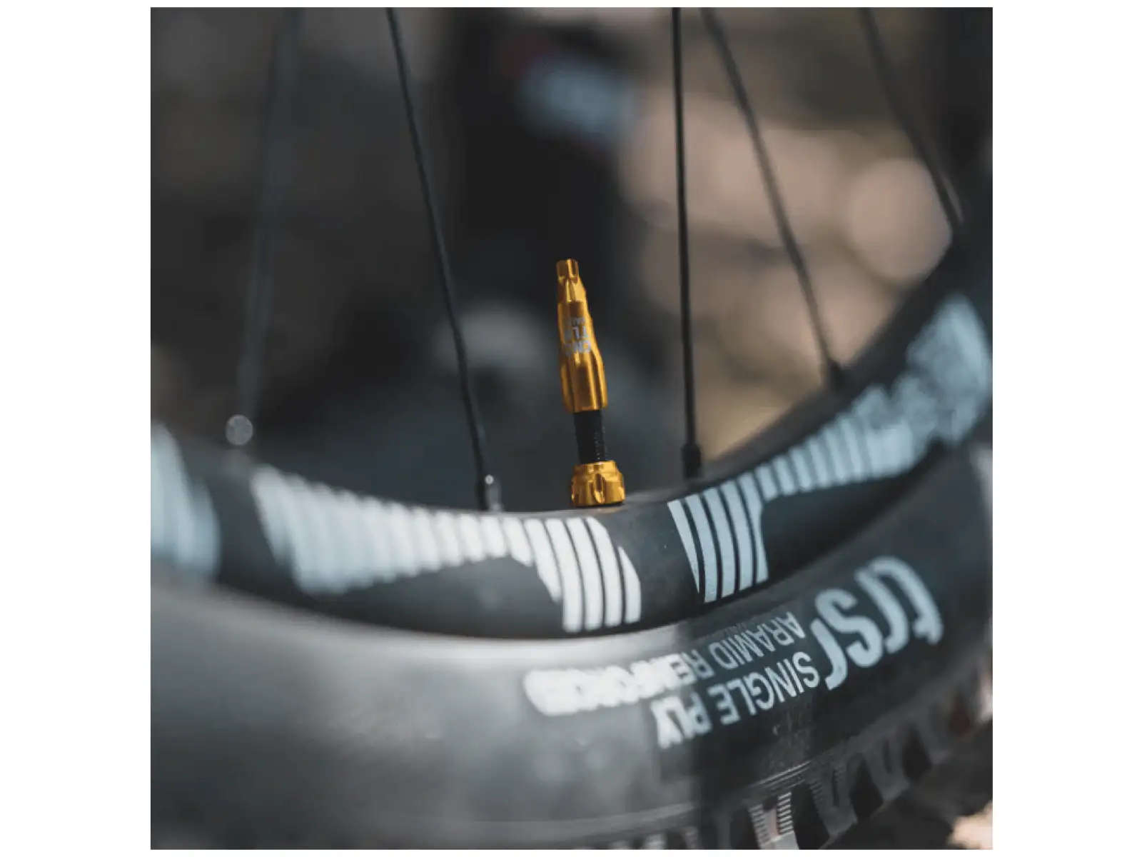 Lezyne CNC TLR Valve tubeless valve 80 mm gold
