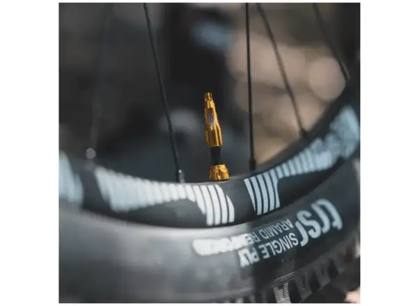 Lezyne CNC TLR Valve tubeless valve 80 mm gold