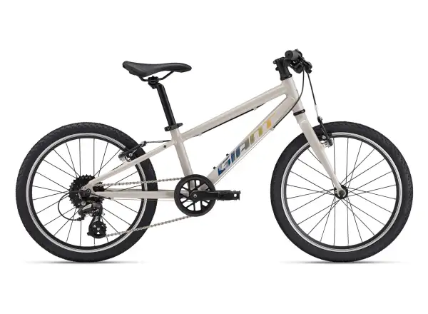 Giant ARX 20 kids' bike Mushroom