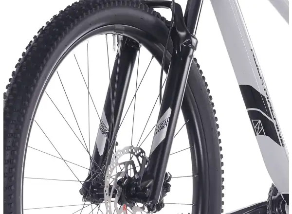 Rock Machine Blizz 30 mountain bike 29" Gloss Limerock Grey