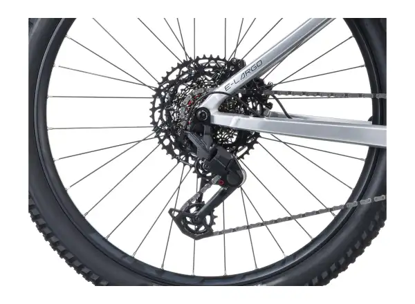 Crussis e-Largo AX 10.12-M2(800) mountain e-bike