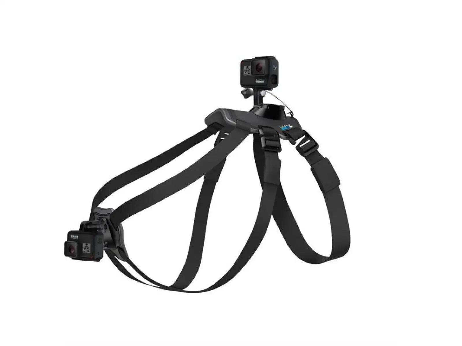GoPro Dog Harness