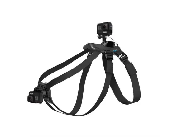 GoPro Dog Harness