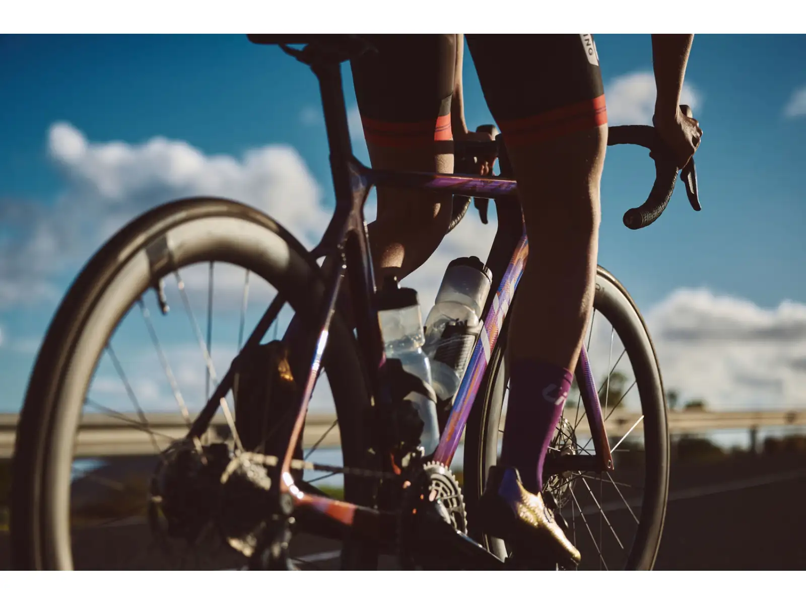Liv EnviLiv Advanced Pro women's road bike Carbon