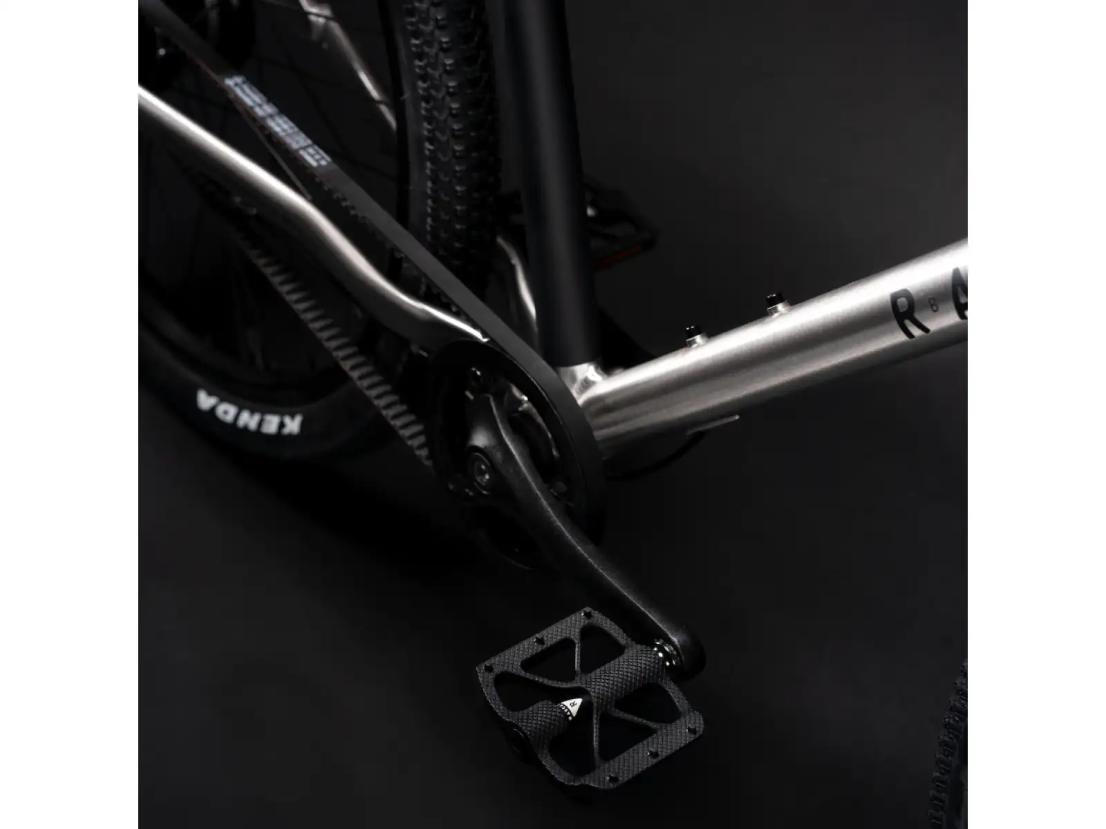 Rascal 24 7 sp. Shimano Nexus kids bike Titanium