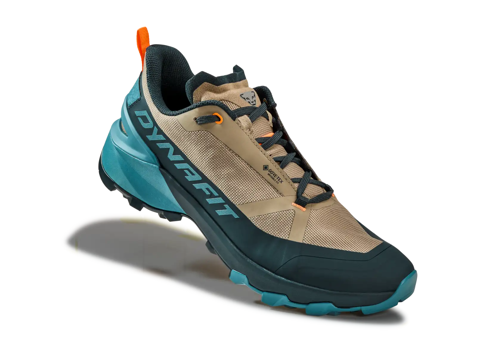Dynafit Transalper 2 GTX men's running shoes Blueberry/Fallen Rock
